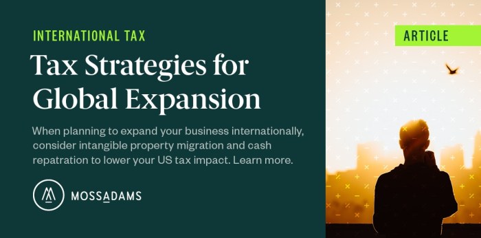 Tax-Efficient Investment Planning Tactics