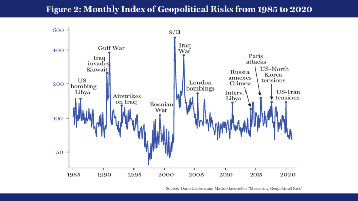 Geopolitical Risk Assessment for International Investors