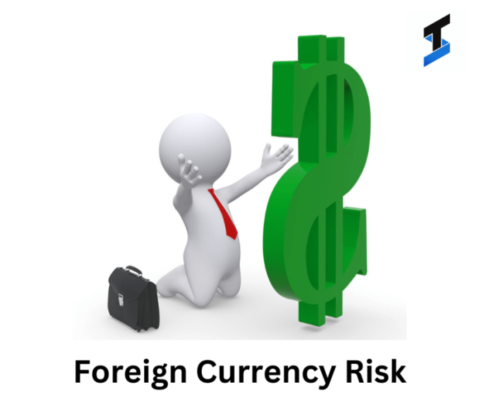 An approach to foreign currency risk management
