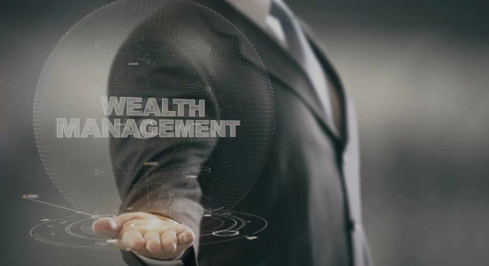 Wealth Management Strategies for International Investors