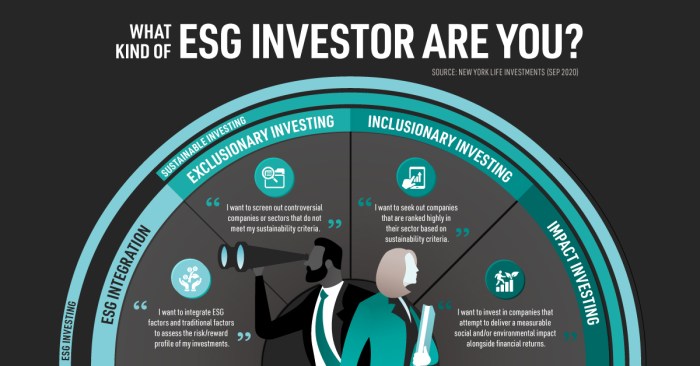 ESG Investing Strategies and Long-Term Financial Performance