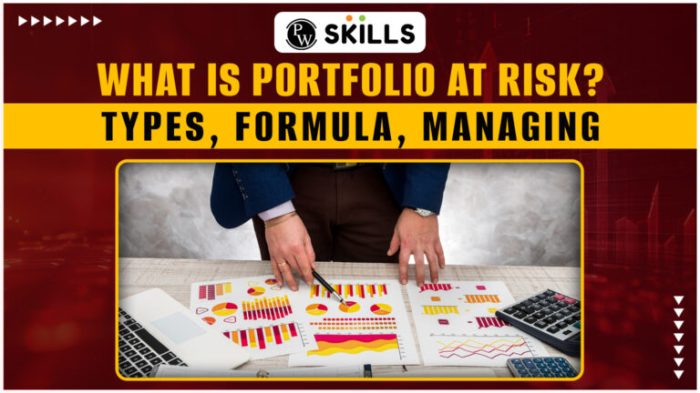 Portfolio Risk Management in Volatile Global Markets