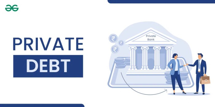 Private Debt Market Statistics 2025: Growth, Trends, etc. • CoinLaw