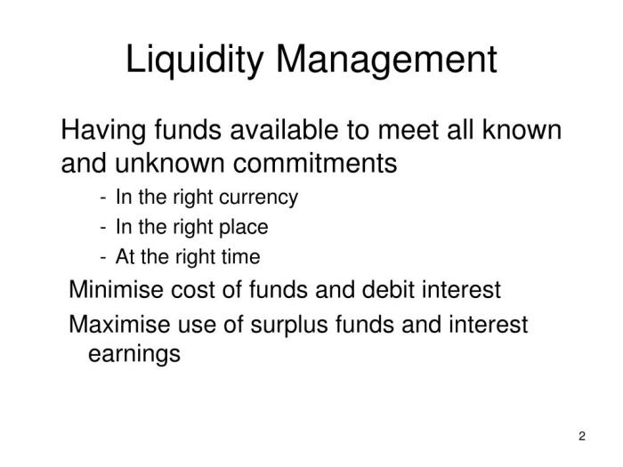 Liquidity management for high value payments | IR