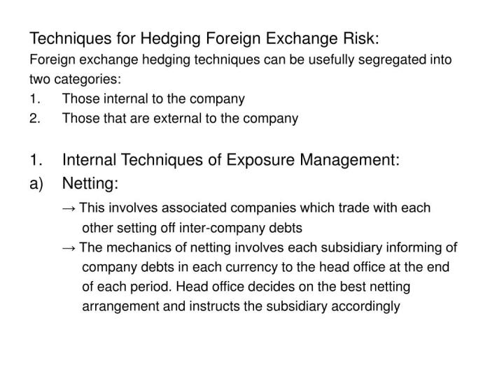 Currency Risk Management in International Investments